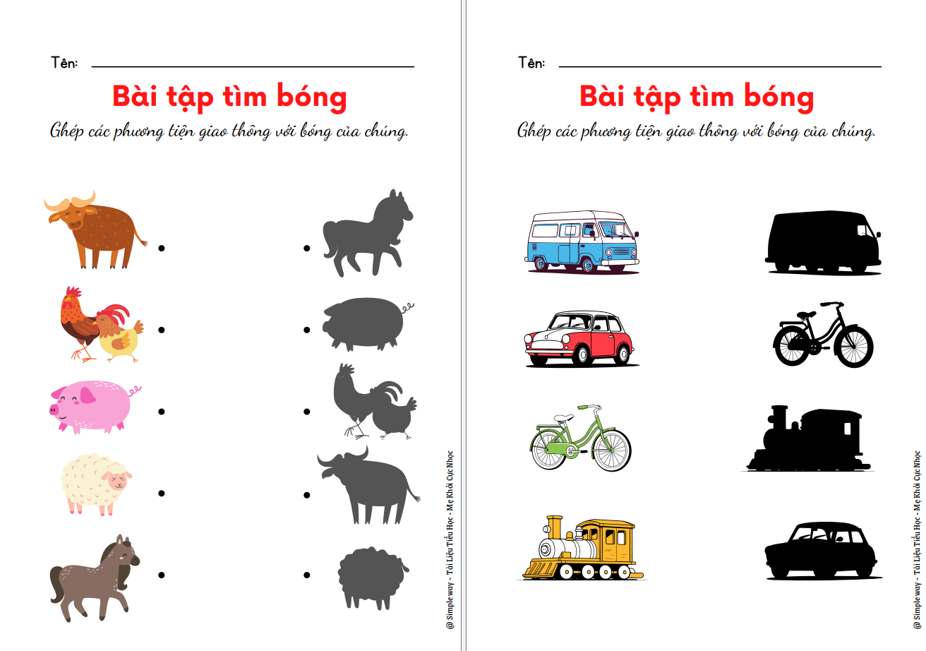 Bài tập tư duy - Tìm bóng của sự vật